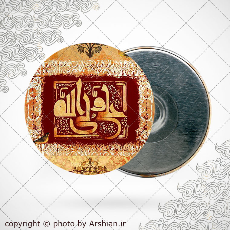 پیکسل اهنربایی علی ولی الله