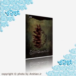 راز درخت کاج