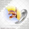 پیکسل گنبد امام رضا(ع)