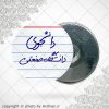 پیکسل آهنربایی با نوشته دانشجوی دانشگاه صنعتی