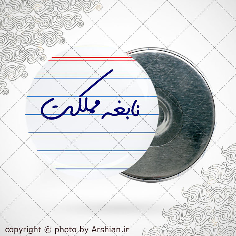 پیکسل آهنربایی طرح نابغه مملکت
