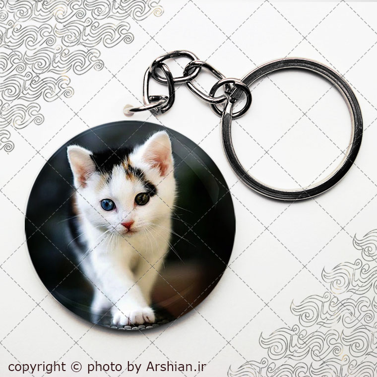 پیکسل سرکلیدی طرح گربه