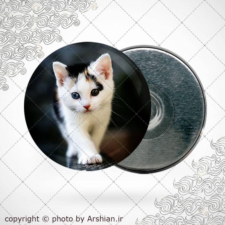 پیکسل آهنربایی طرح گربه