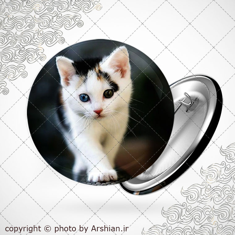 پیکسل طرح گربه