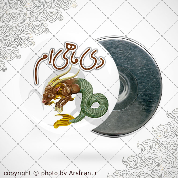 پیکسل آهنربایی متولد دی