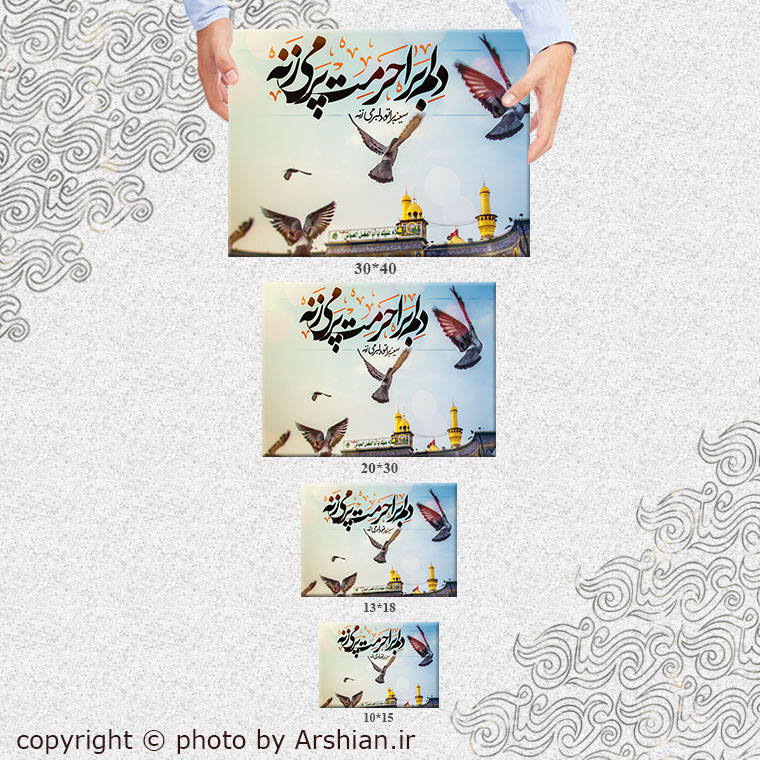 قاب شاسی دلم برا حرمت پرمیزنه