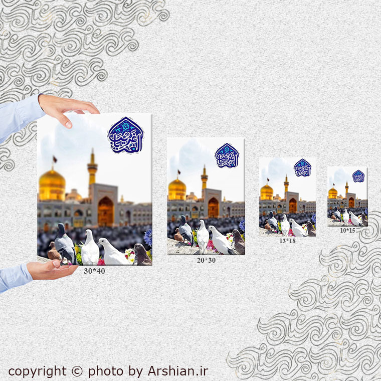 قاب شاسی کبوتر حرم