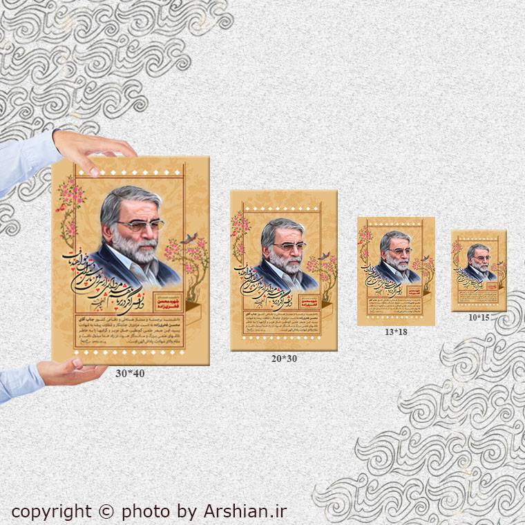 قاب شاسی شهید محسن فخری زاده