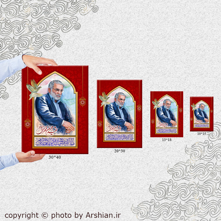 قاب شاسی شهید محسن فخری زاده