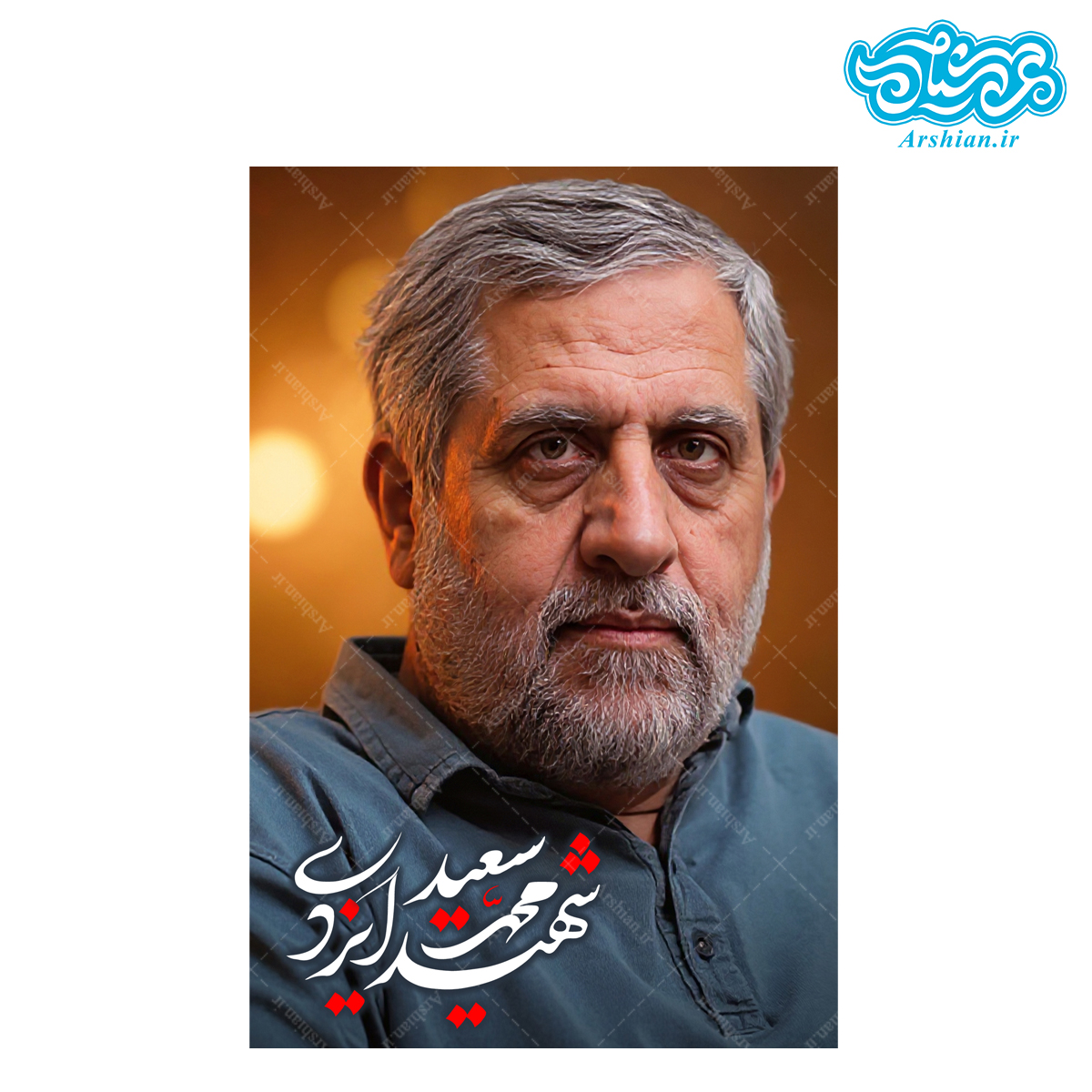 قاب شاسی سردار شهید محمد سعید ایزدی کدghsh211